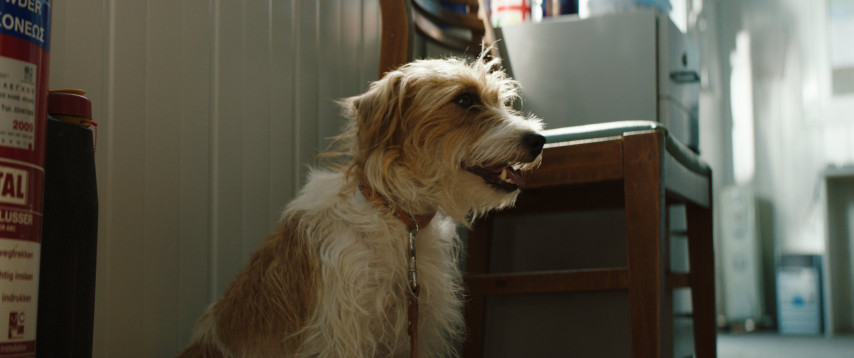 Immagine dal film