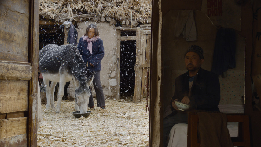 Immagine dal film