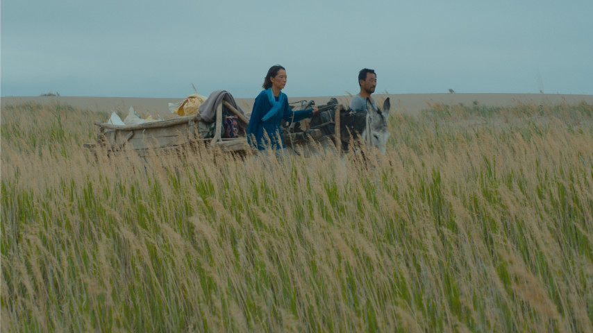 Immagine dal film