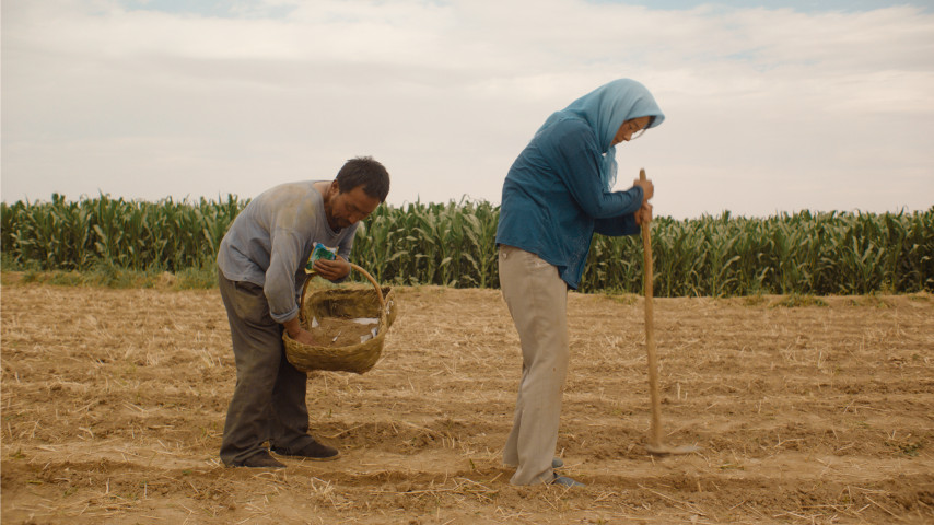 Immagine dal film