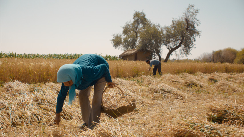 Immagine dal film