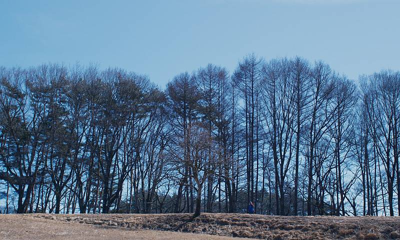 Immagine dal film